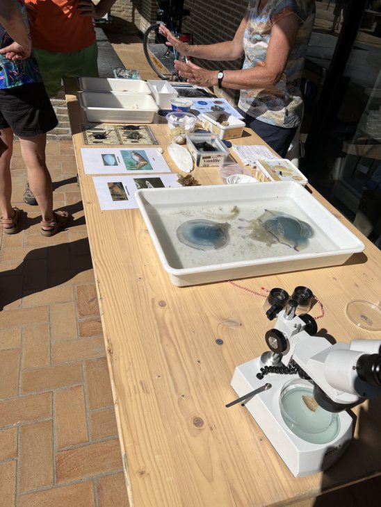 Ontspanning Strandlabo - stap de gids - Nl