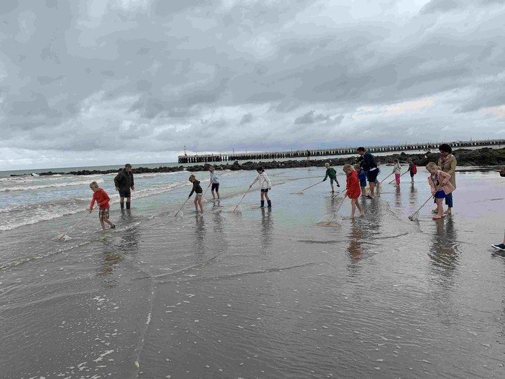 Ontspanning Op jacht Gust Garnaal - stap de gids - nl