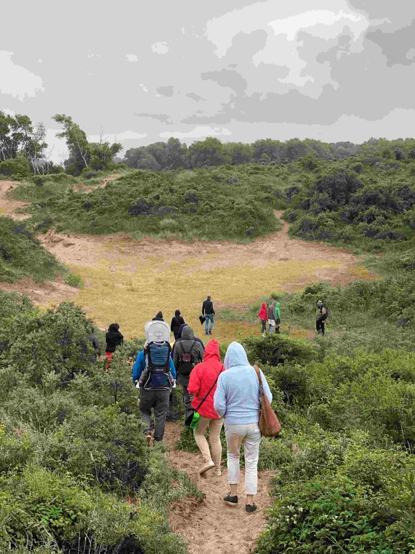 Ontspanning À découverte la réserve naturelle l’Yser - balade avec guide - fr