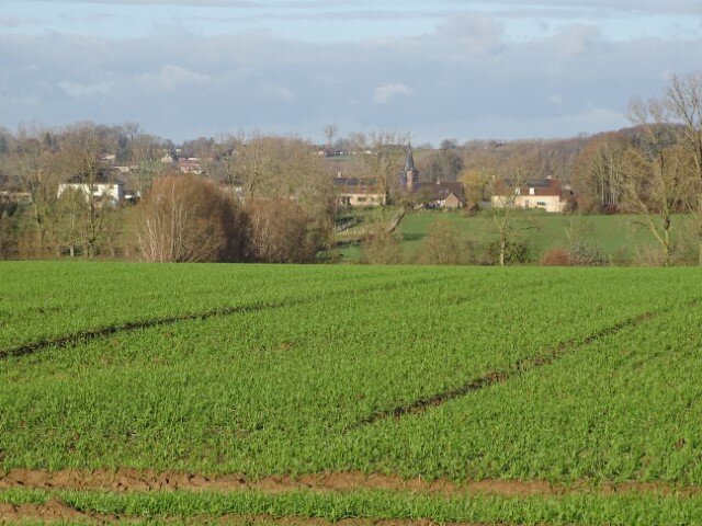 Ontspanning Wandelzoektocht Vlaamse Ardennen