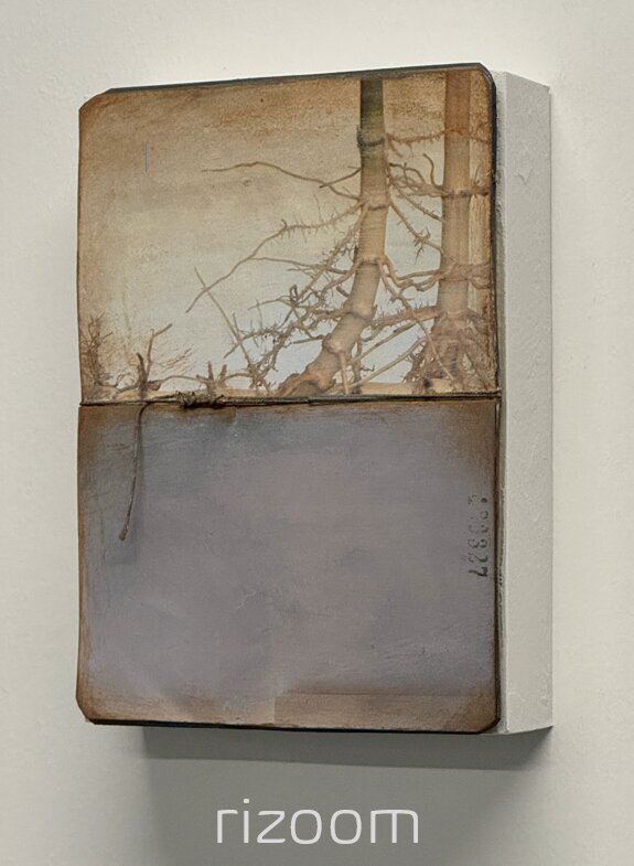 Tentoonstellingen Tentoonstelling Rizoom