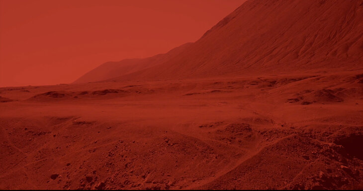 Tentoonstellingen Francisca García & Mario Navarro | Unearthed Conversation