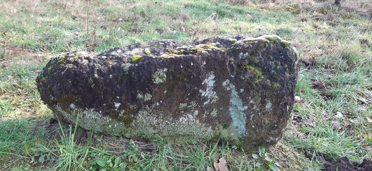 Ontspanning Stenensafari cadeautje achteraf