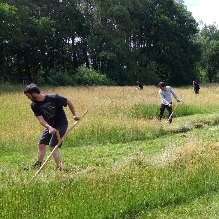 Ontspanning Beheerwerken de Vallei de Zwarte Beek