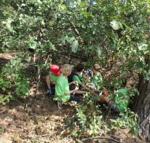 Workshops Word Snipwachter de Vallei de Zwarte Beek