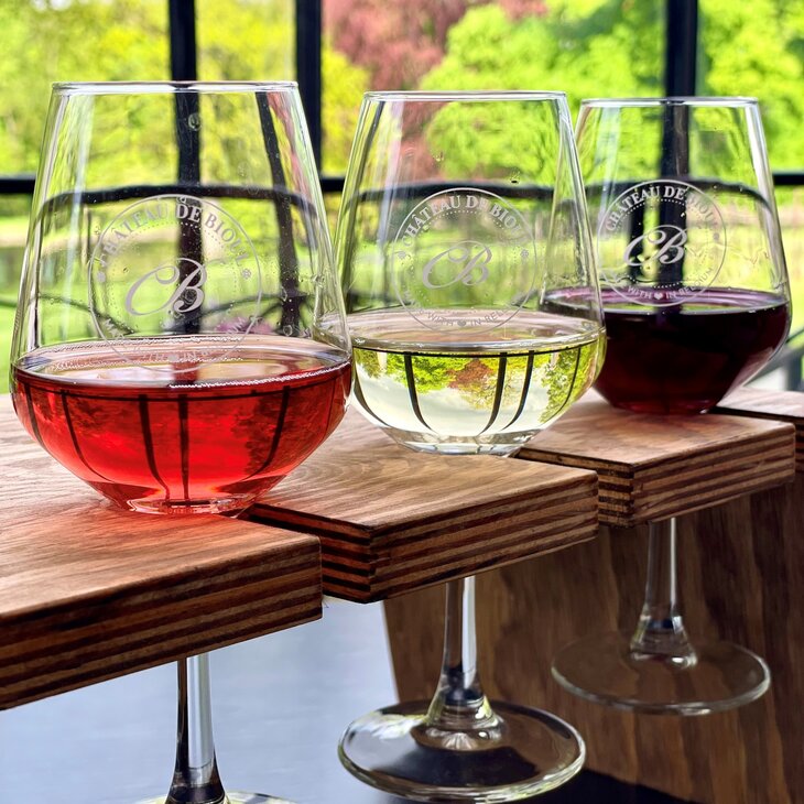 Ontspanning Ontdekkingsdag de Wijngaard Château Bioul