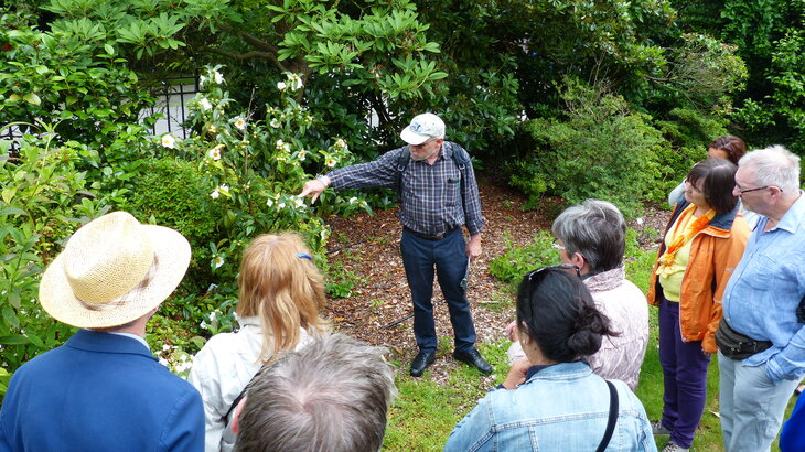 Ontspanning Planten de Wereld Veranderden