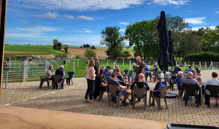 Ontspanning Alpaca terras