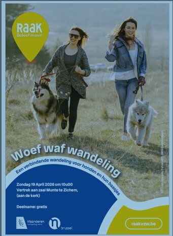 Ontspanning Woef wandeling