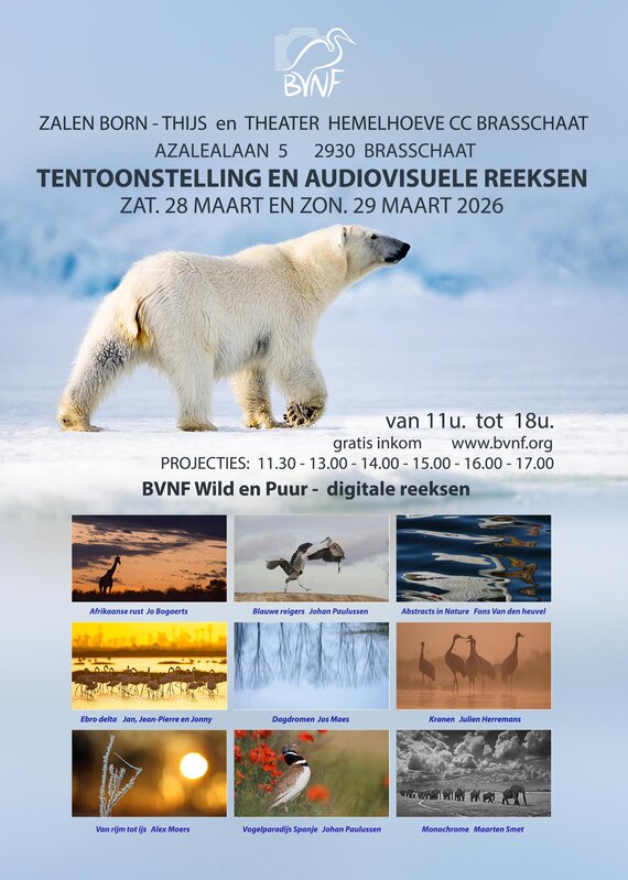 Tentoonstellingen Foto tentoonstelling Bvnf