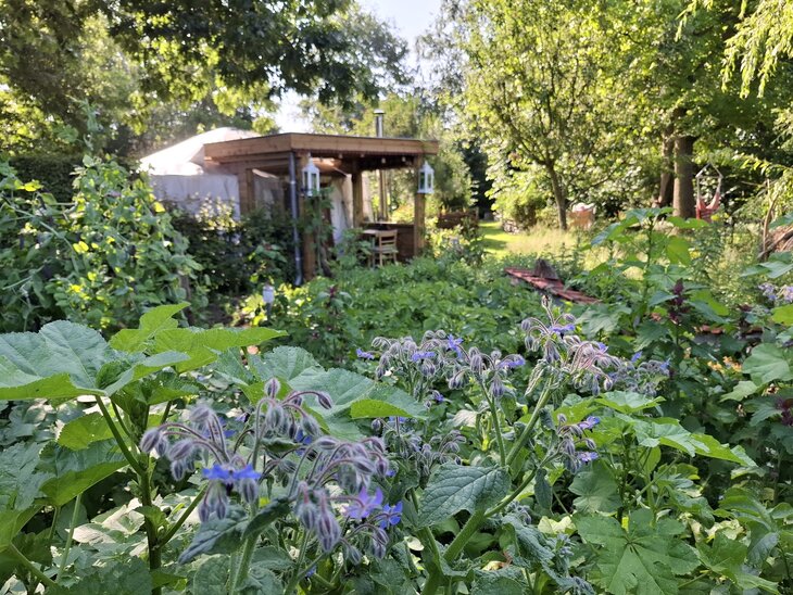 Ontspanning Overnachten Yurt dagactiviteit packraften de Zuidlede