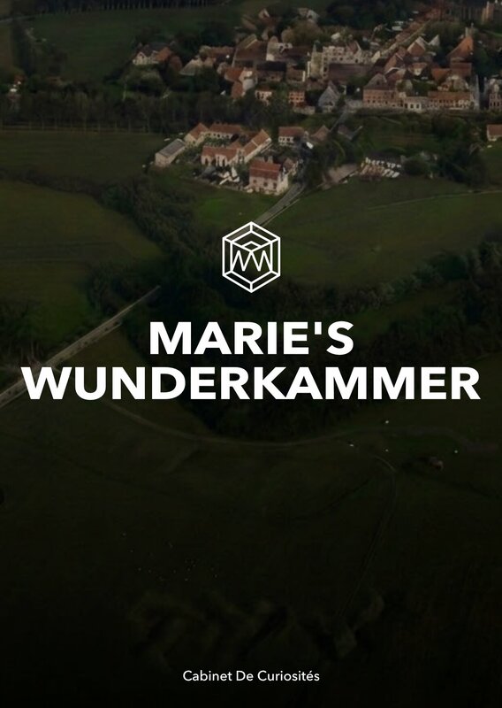 Tentoonstellingen Marie s Wunderkammer