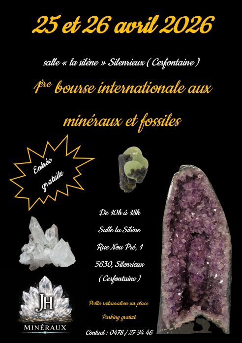 Ontspanning Uitwisseling mineralen fossielen