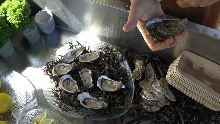 Ontspanning Oesters & Bubbels Day