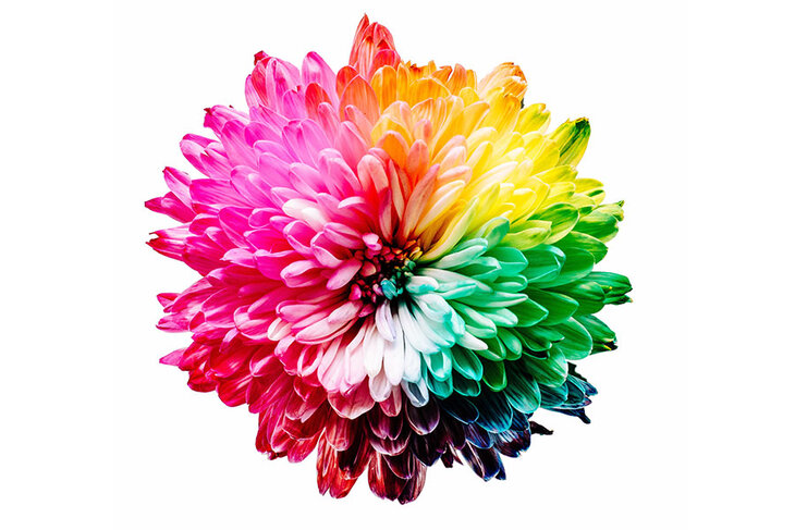 Workshops Reis doorheen chakra s