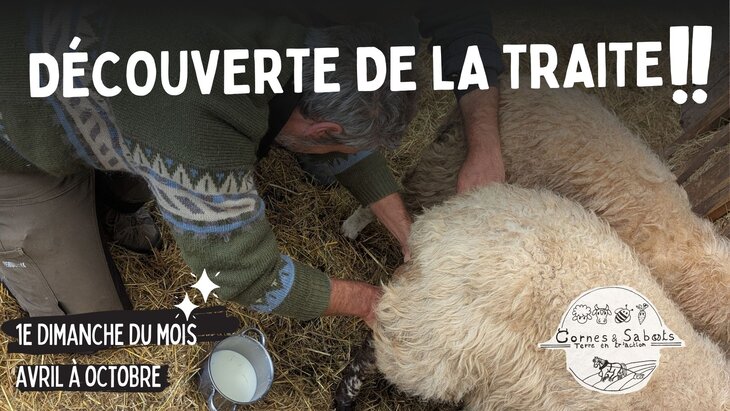 Ontspanning Ontdekking het melken - registratie