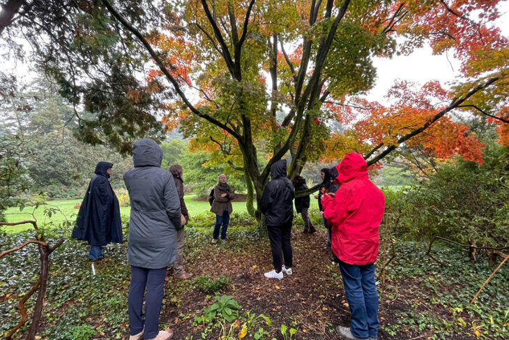 Workshops Connecting with energy nature: level 1