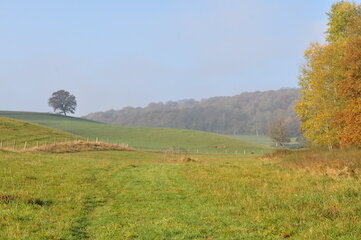 Workshops Wandeldriedaagse de Ardennen