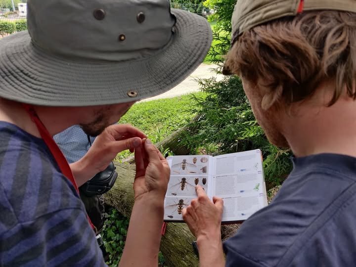Ontspanning Bioblitz het Tournay-Solvaypark