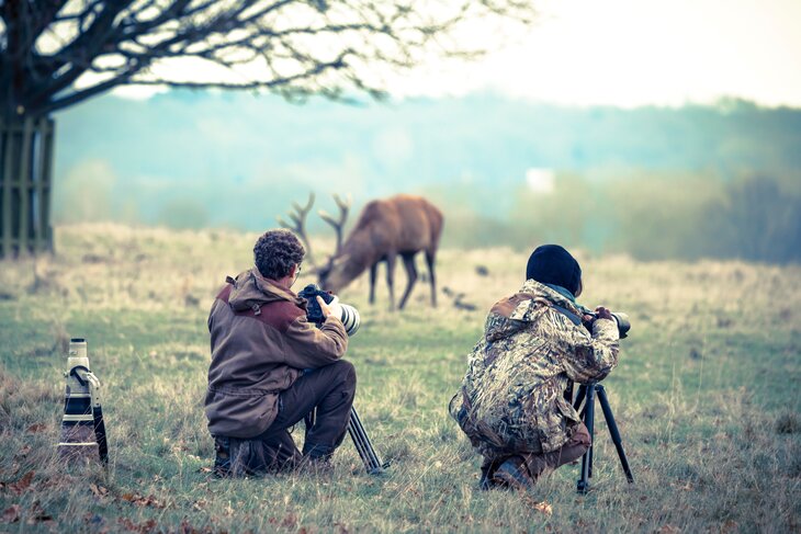 Ontspanning Fotosafari het Wildpark
