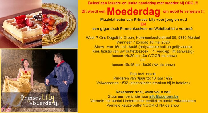 Ontspanning Pannenkoeken wafelbuffet Muziektheater Prinses Lily de boerderij