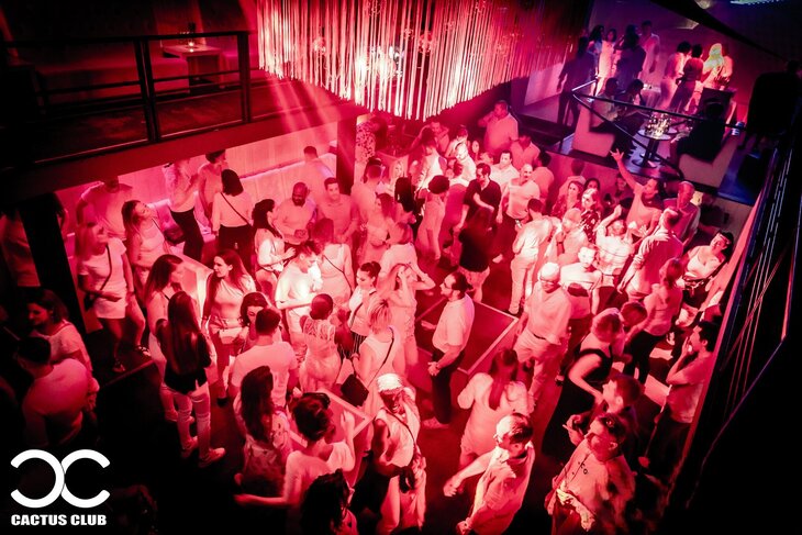 Nachtleven Het White Party 04.04 Cactus Coeur A Coeur Grootste Singles Party Live