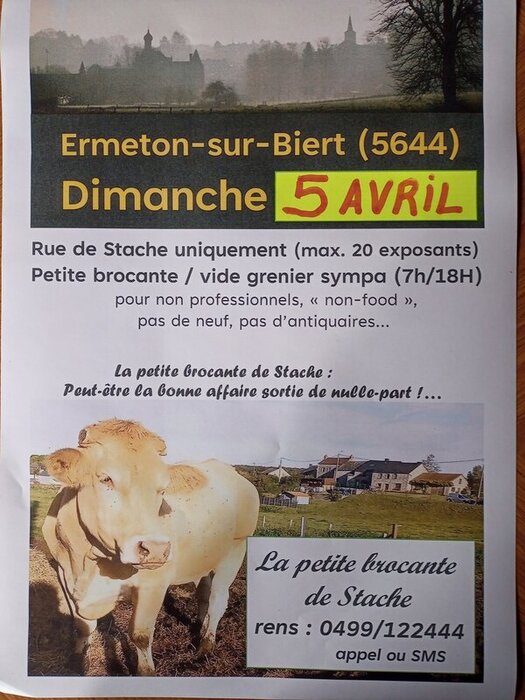 Stache's kleine vlooienmarkt