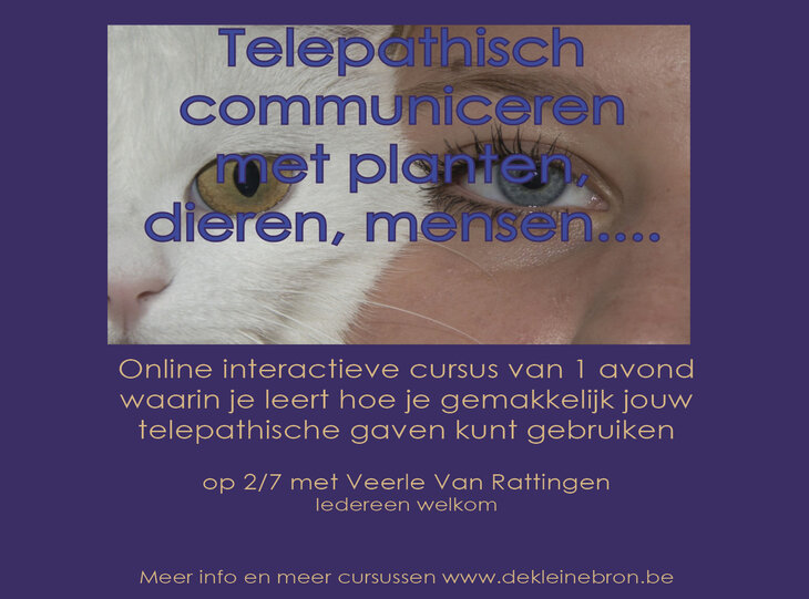 Workshops Cursus   Telepathisch communiceren planten, dieren mensen