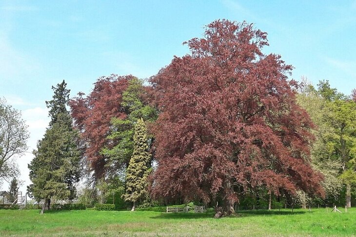 Ontspanning 3de Streekwandeling Hagelandgidsen : Lovenjoel.