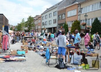 Lente Vlooienmarkt