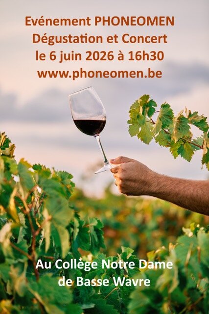 Ontspanning Wijntasting & Concert serenade Phoneomen