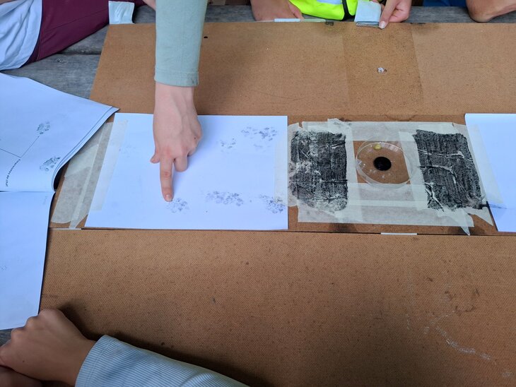 Ontspanning Controleren sporenvallen cameravallen