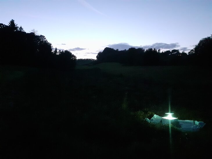 Workshops Nachtvlinderinventarisatie licht smeer