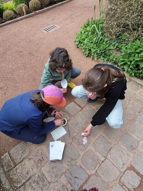 Workshops Kriebelbeestjes zoeken determineren