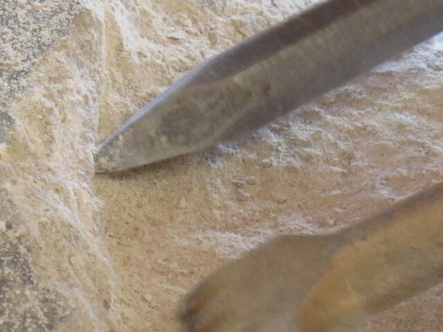 Workshops Workshop steenkappen