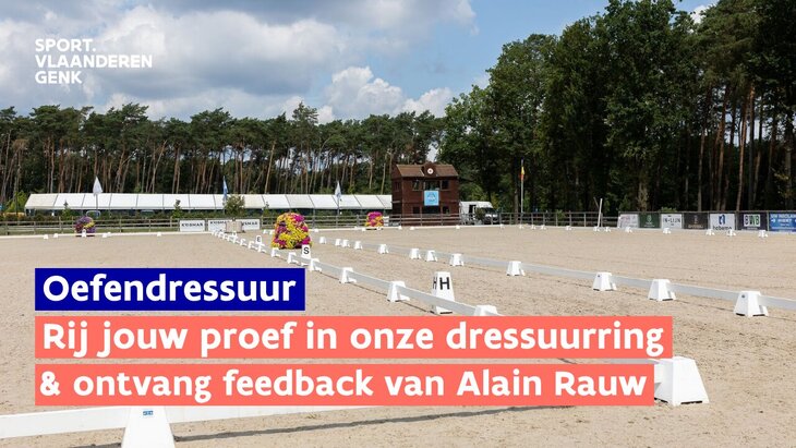 Workshops Oefendressuur - Dressuurgerichte trainingsdag