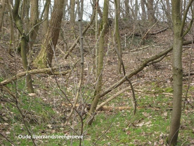 Ontspanning Wandeling Osseberg km)