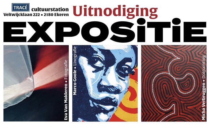 Tentoonstellingen Expositie > Fotografie / Linografie / Dotpainting