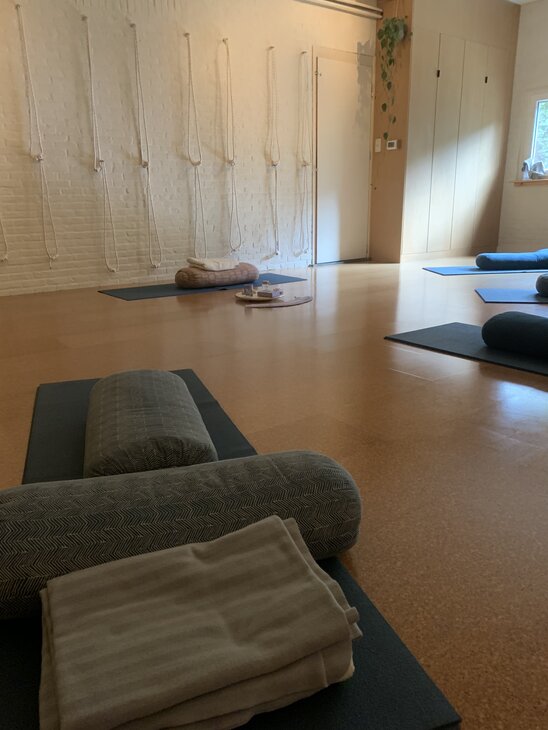 Workshops Workshop: Stress ! Leer rust vinden een druk bestaan