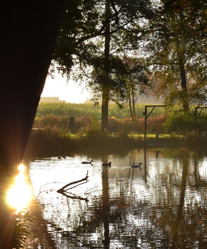 Ontspanning Opening Belevingspad Carons Hofke