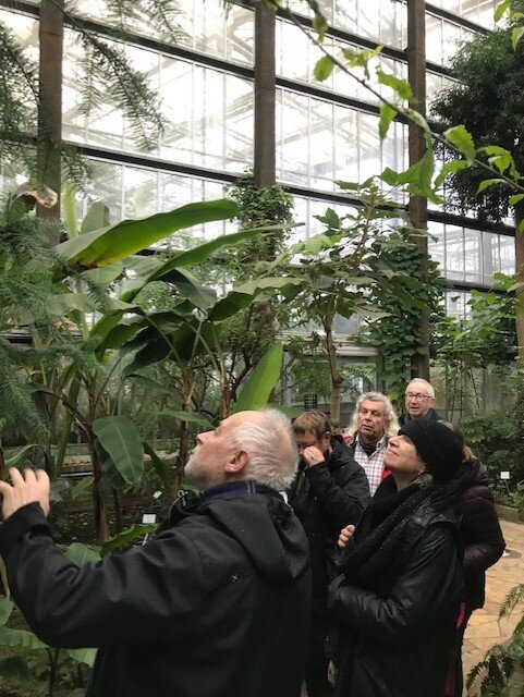 Ontspanning De kampioenen onder planten