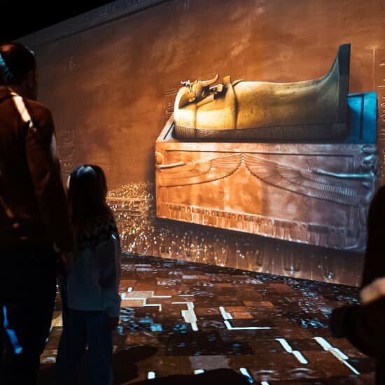 Tentoonstellingen De schatten Toetanchamon