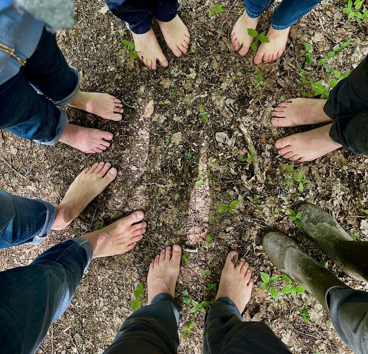 Workshops Bosbad de dans de lente Mortagnebos Zwevegem