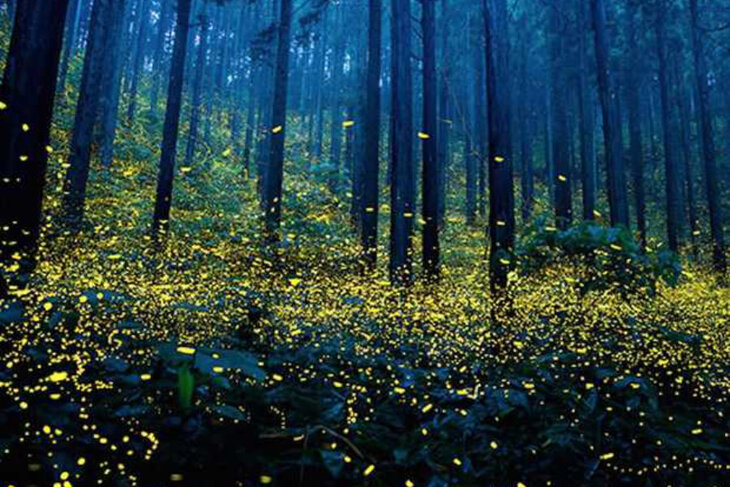 Workshops Geluk vinden behouden - proefles