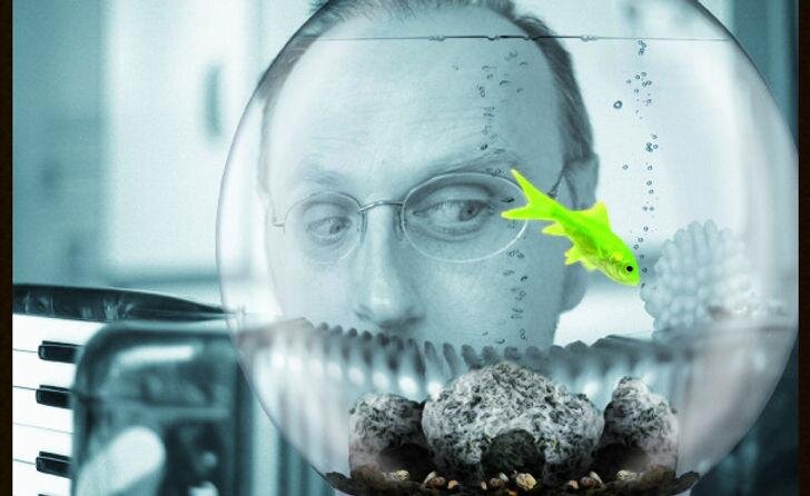 Voorstellingen Mieux vaut tétard jamais