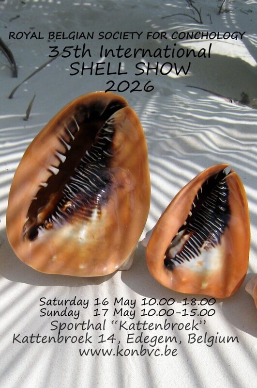 Ontspanning Internationale schelpenbeurs