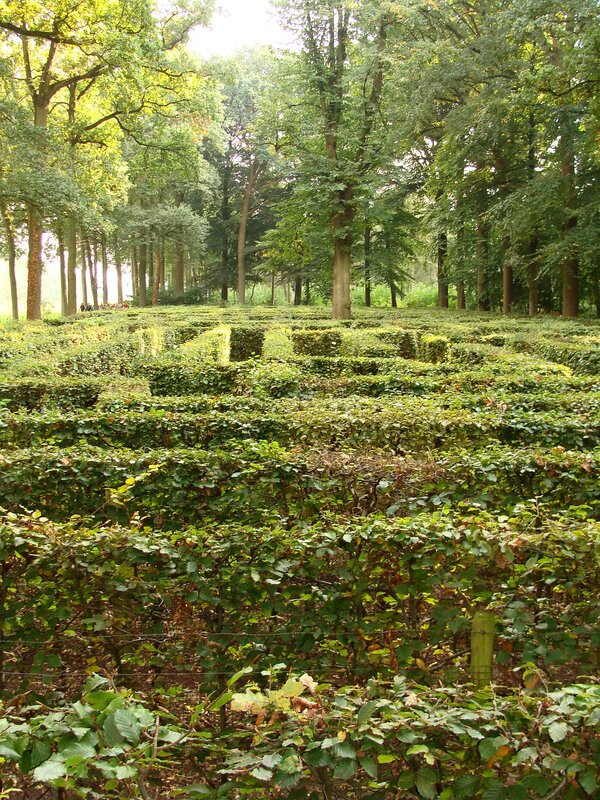 Ontspanning Verdwaal een historisch doolhof