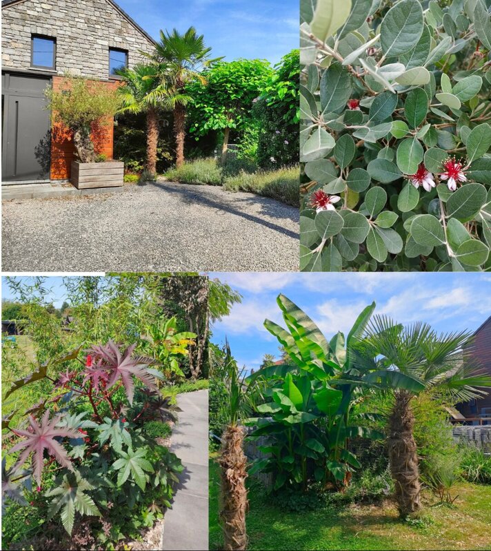 Ontspanning De Exotentuin Frédéric Pignon