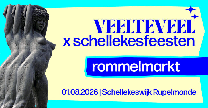  Veelteveel x Schellekesfeesten | rommelmarkt