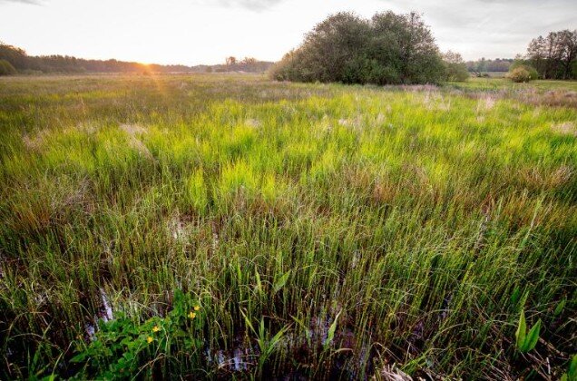 Ontspanning Veentocht